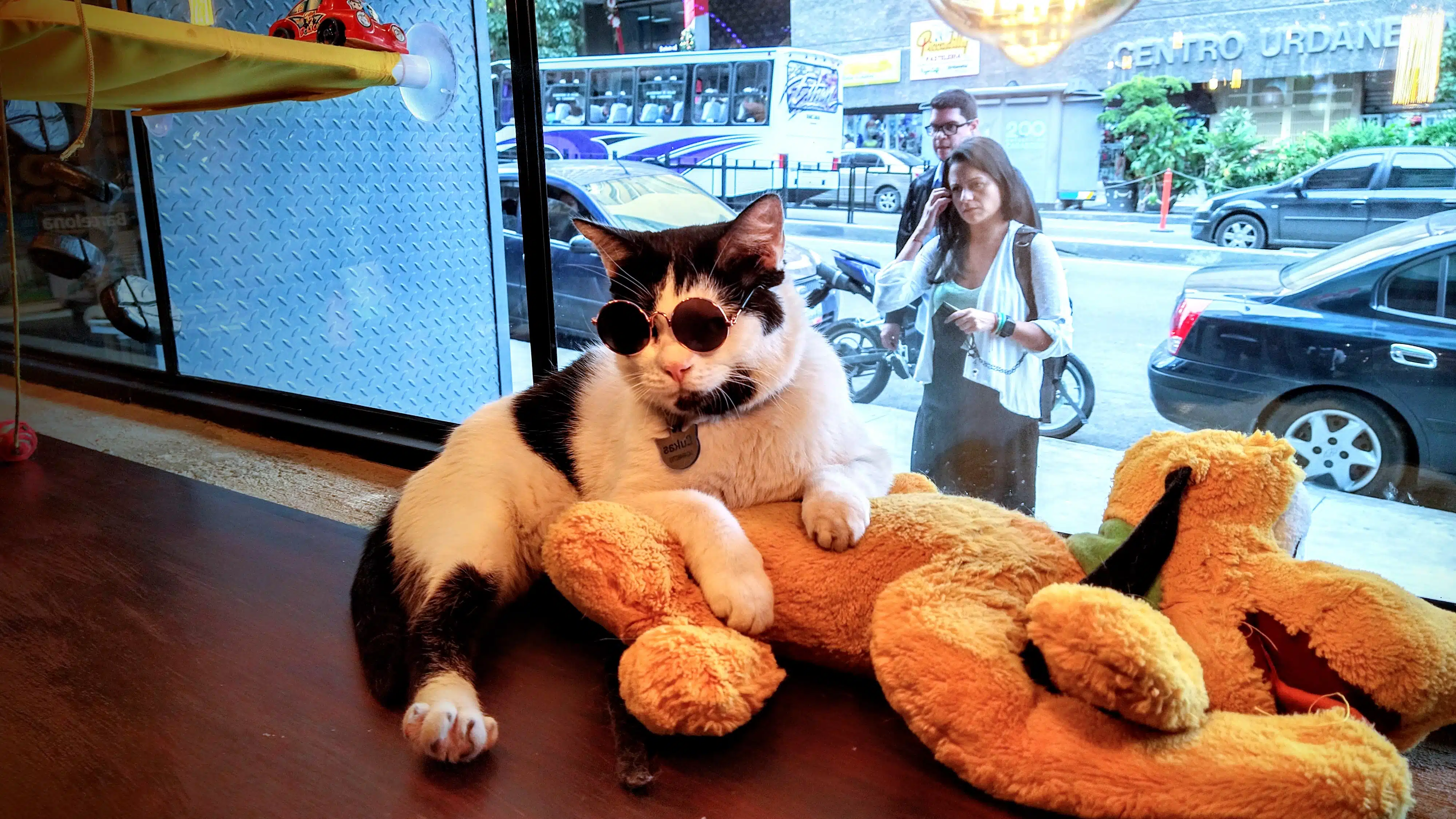 Imagen destacada del mes el Chucks el recogido que se cree un Idol